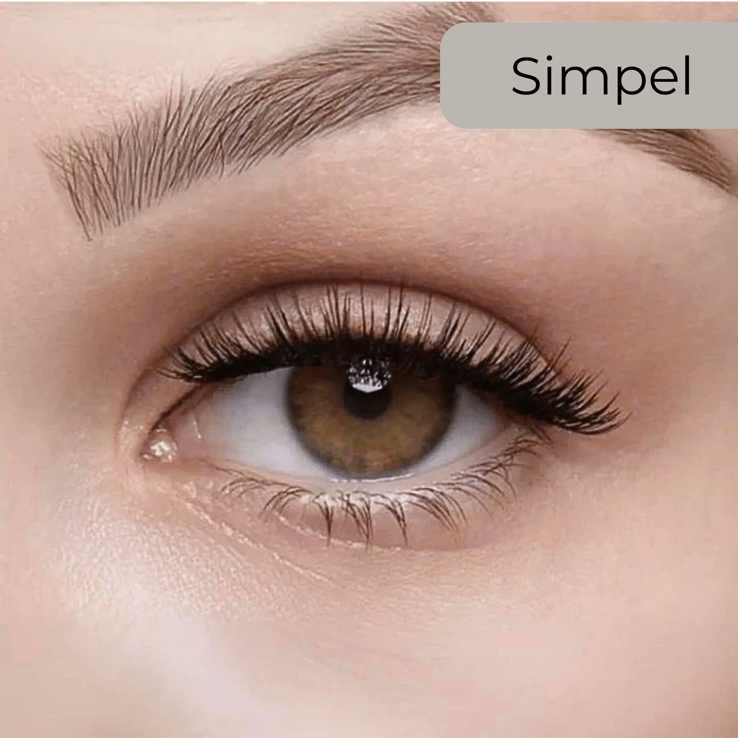 Magnetische Wimpern