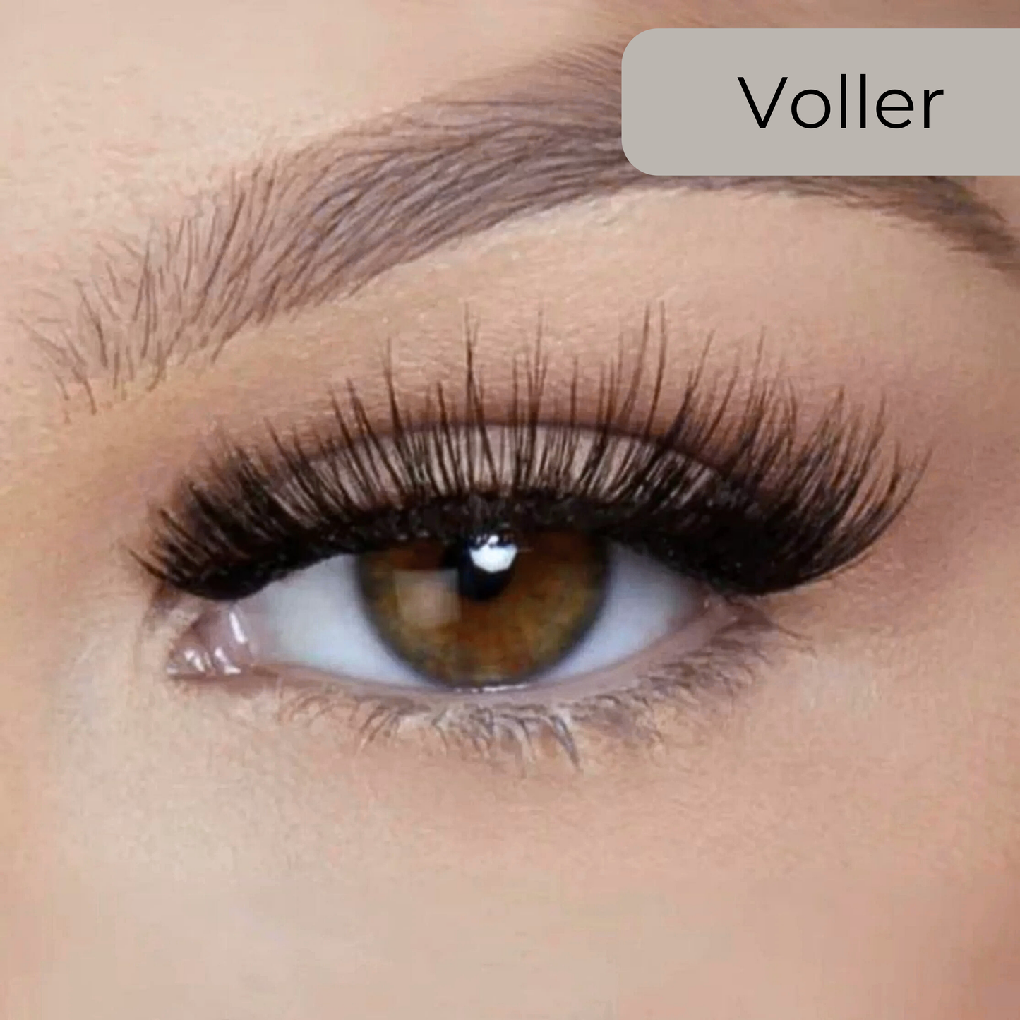 Magnetische Wimpern